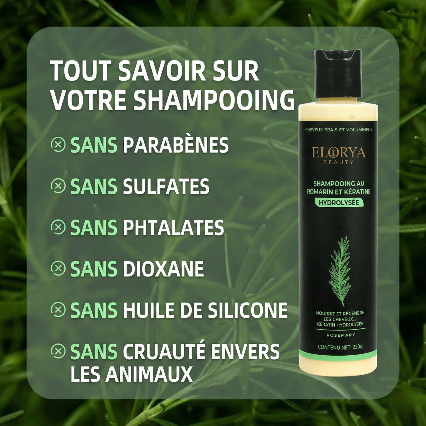 Organic Rosemary Hair Growth Shampoo