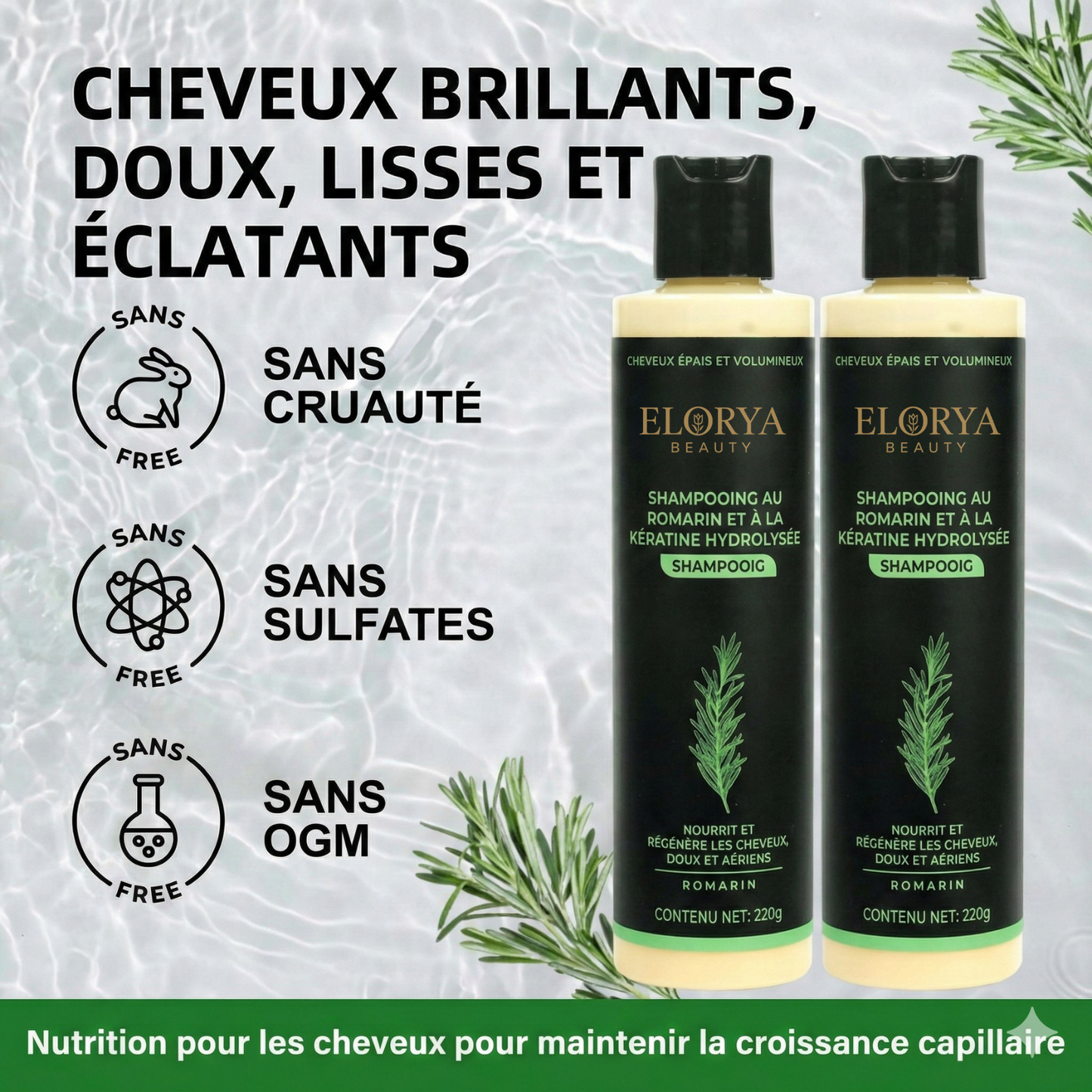 Organic Rosemary Hair Growth Shampoo