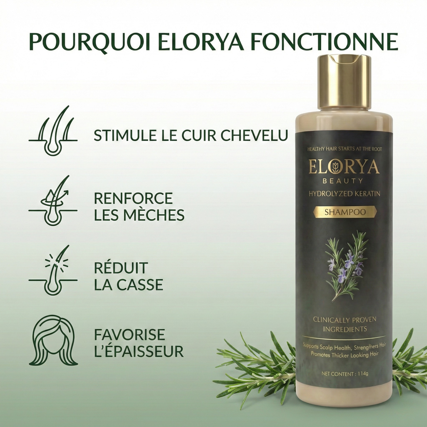 Elorya™ Growth Support Shampoo